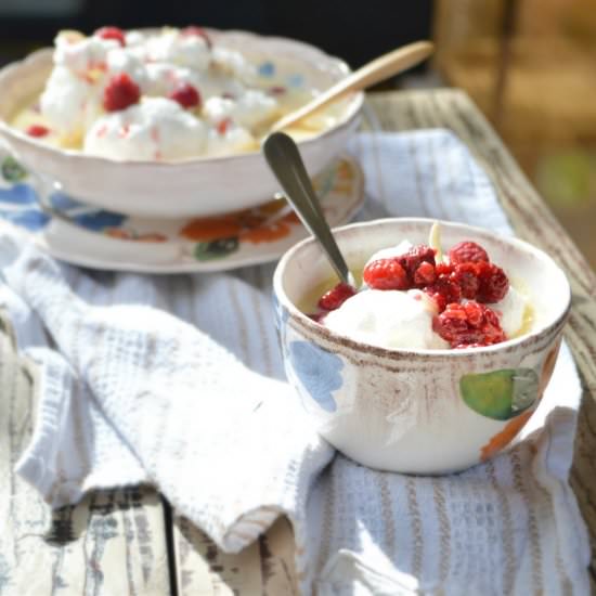 3 Ingredient Sugar Free Dessert - Recipe photo by sweetashoneynz