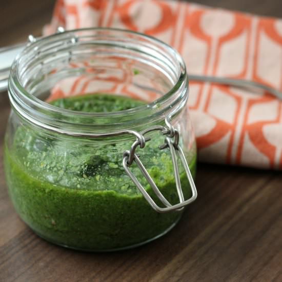 Delicious Wild Nettle Pesto - Recipe photo by moralfibres