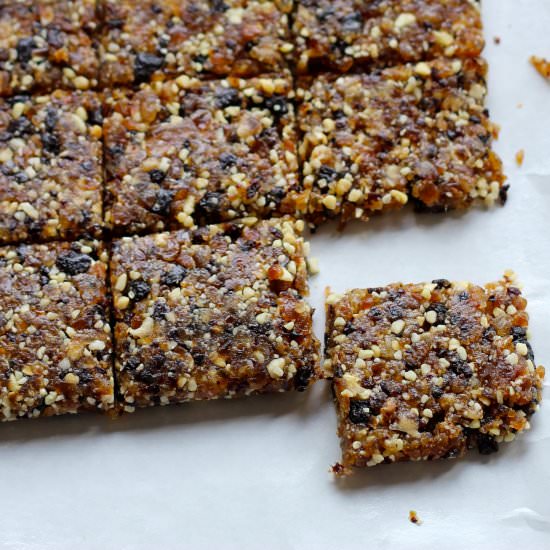 Mamabars (DIY Larabars) - Recipe photo by FishMama
