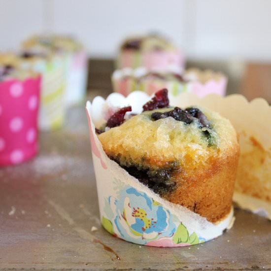 Blueberry Cranberry Muffins - Recipe photo by bakingwithgab