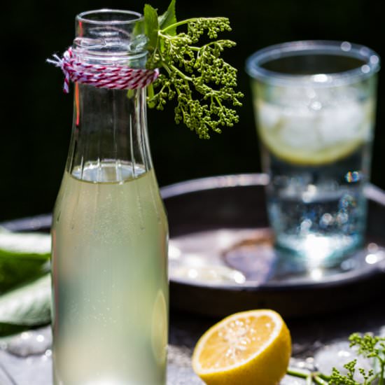 Homemade Elderflower Cordial - Recipe photo by Multiculti