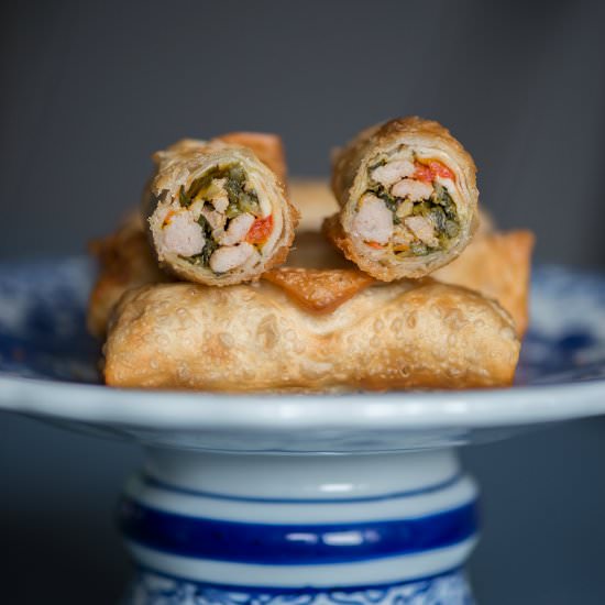 Pork Egg Rolls - Recipe photo by AnecdotesAppleCores