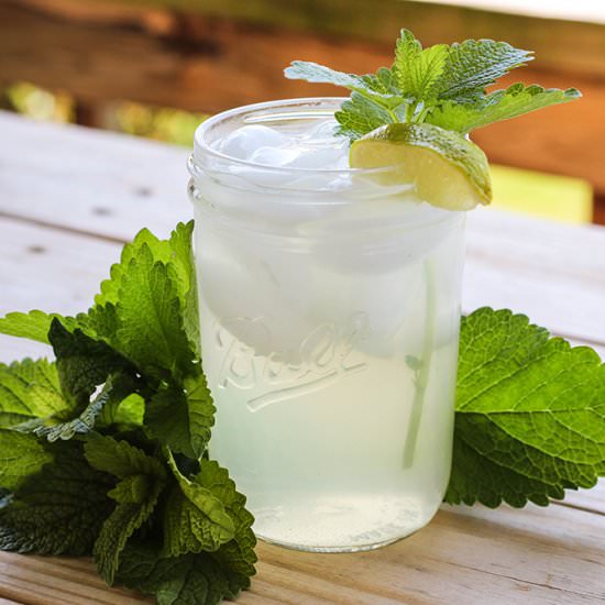 Fresh Lemon Balm Iced Tea - Recipe photo by HealthStartsintheKitchen