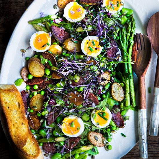 Spring Greens Salad - Recipe photo by wild greens