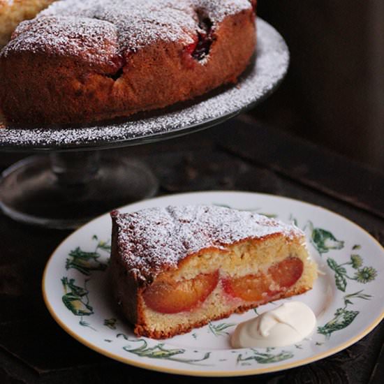 Pip's Plum Cake - Recipe photo by hotlyspiced