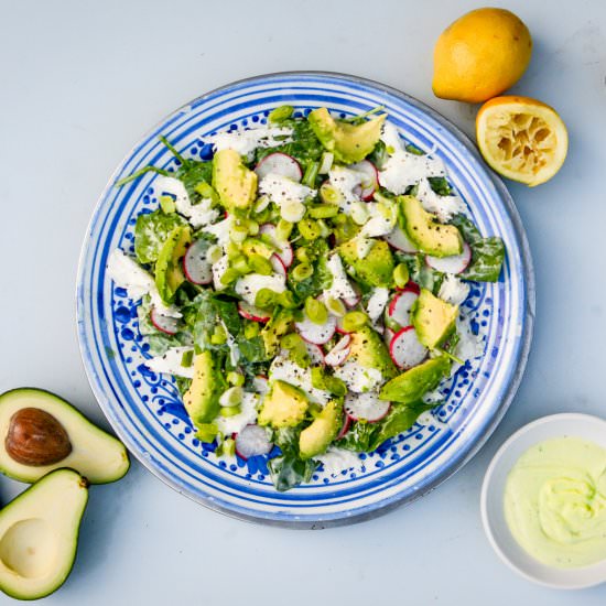 Simple Spring Salad - Recipe photo by AFeastForTheEyes