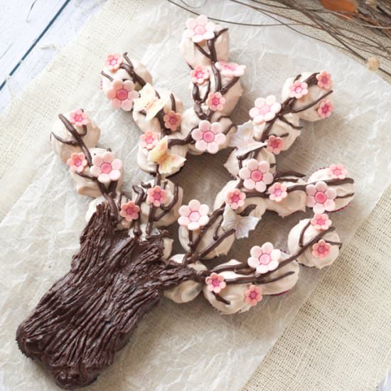 Spring Blossom Cupcake Tree - Recipe photo by roxyskitchen