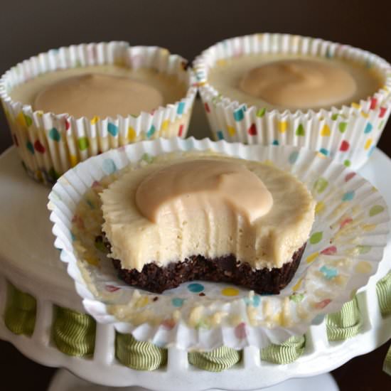 Dulche De Leche Cheesecake Bites - Recipe photo by MomWhatsForDinner