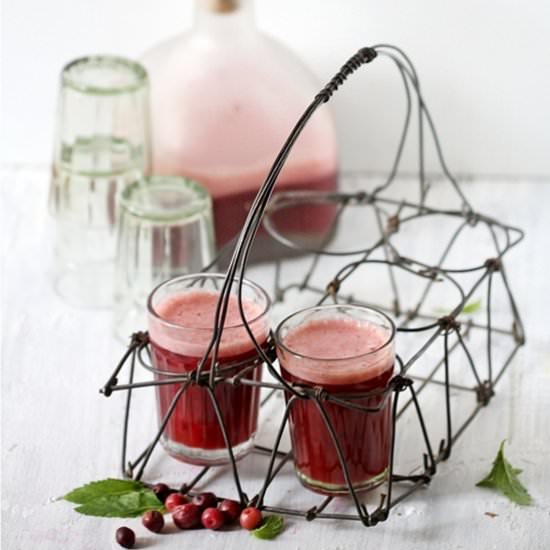 Phalsa Berry Sharbat - Recipe photo by vindee