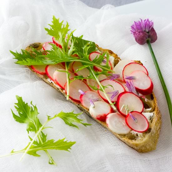 Pickled Radish Tartines - Recipe photo by Coffee and Crumpets