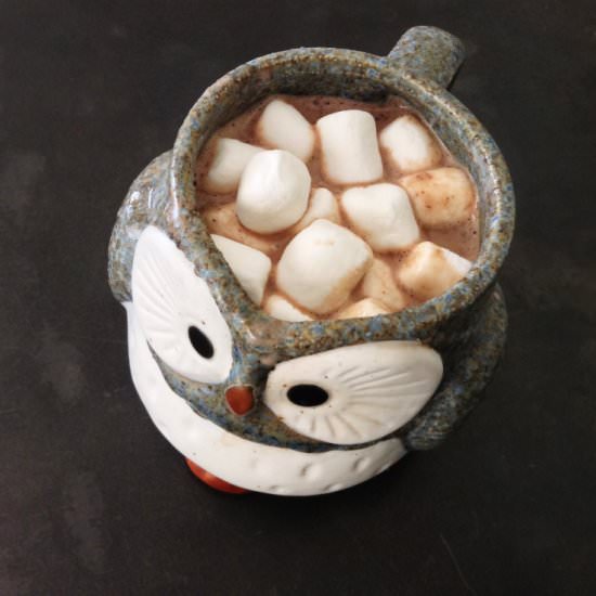 Crock Pot Hot Chocolate - Recipe photo by sogoodblog
