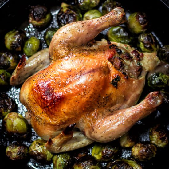 Sausage Stuffed Cornish Hens - Recipe photo by SisBoomBlog