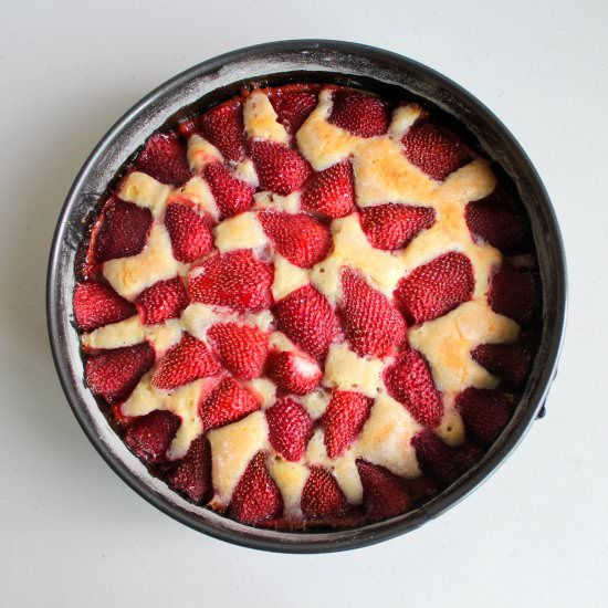 Strawberry Summer Cake - Recipe photo by chompingboard