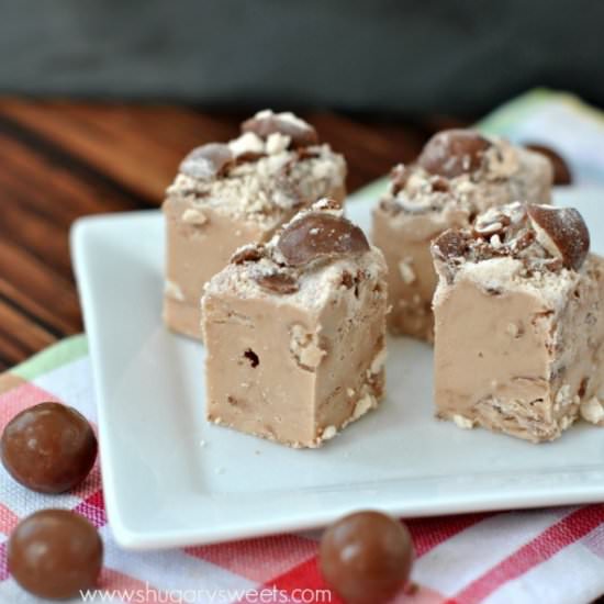 Malt Ball Fudge - Recipe photo by ShugarySweets