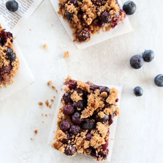 Gluten Free Blueberry Oat Bars - Recipe photo by Whitney Bond