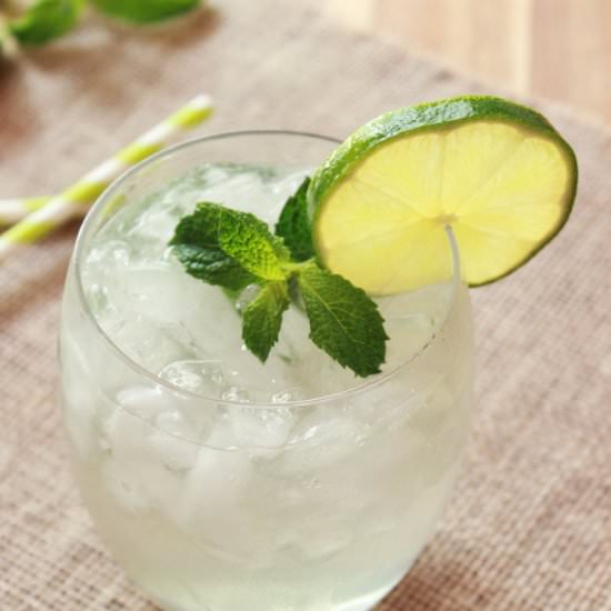 Skinny Mint Mojito - Recipe photo by LaurendaMarie