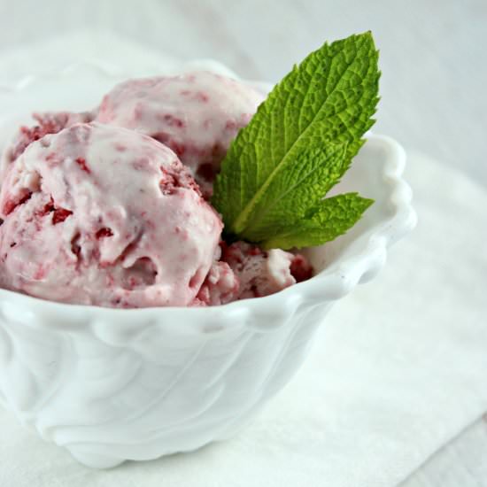 Strawberry Mint Ice Cream - Recipe photo by SolidGoldEats