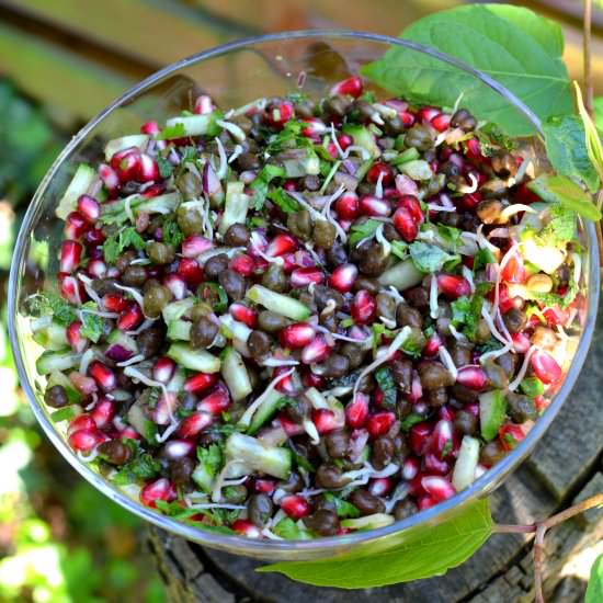 Chaat-style Salad with Sprouts - Recipe photo by spiceinthecity