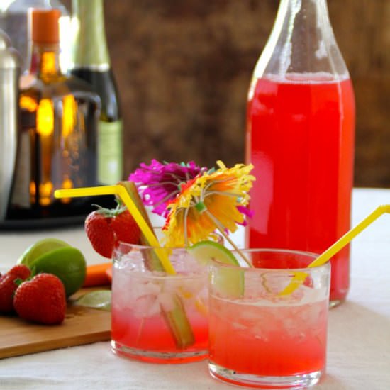 Easy Peasy Rhubarb Syrup - Recipe photo by MPB