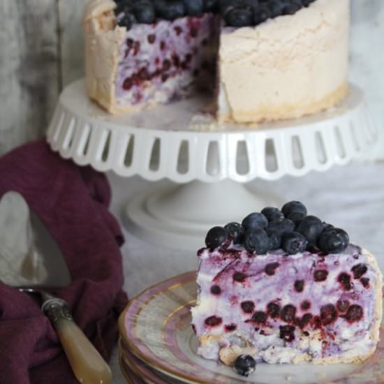 Blueberry Ice Cream Cake - Recipe photo by MPB