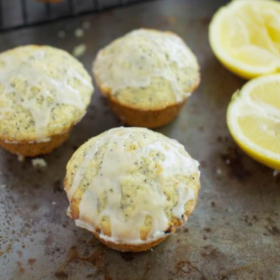 Lemon Poppyseed Muffins - Recipe photo by LSFoster2