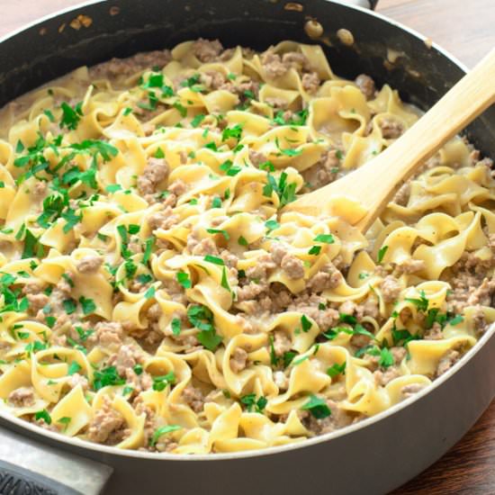 Swedish "Meatballs" Meat Sauce - Recipe photo by The Spice Kit Recipes