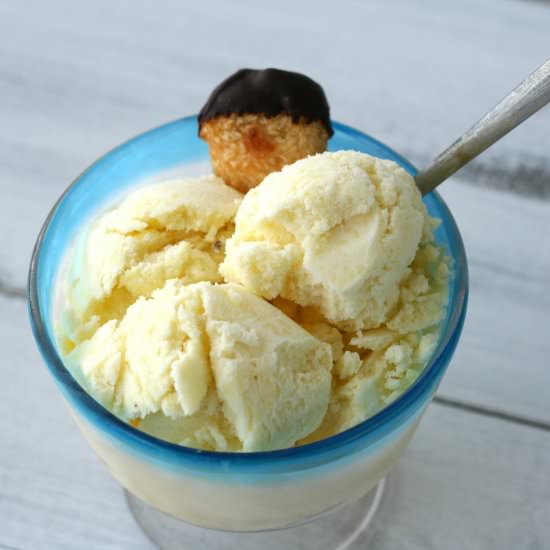 Coconut Pineapple Sorbet - Recipe photo by bluebirdchic