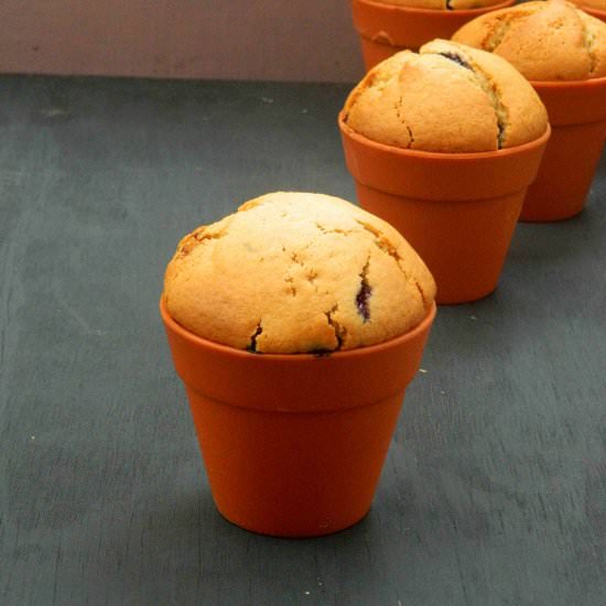 Egg & Butter Free Blueberry Muffins - Recipe photo by Nitha Kitchen