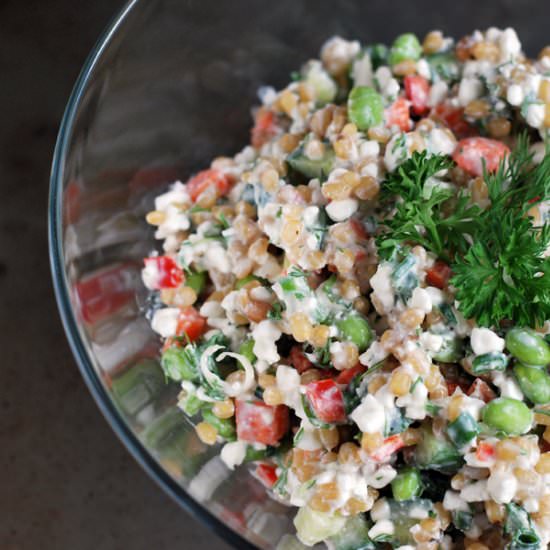 Super Protein Salad - Recipe photo by culinarymamas