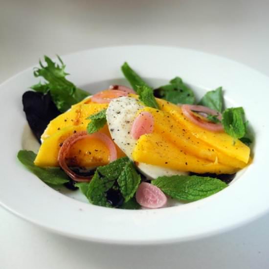 Mango, Mozzarella & Mint Salad - Recipe photo by loveandduckfat