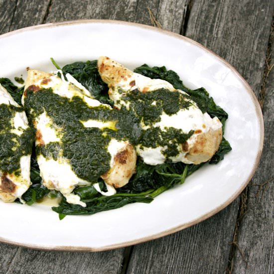 Garlic Chicken Mozzarella & Pesto - Recipe photo by Diane Balch