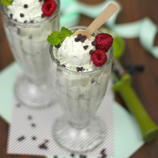 Guilt-Free Mint Chip Ice Cream - Recipe photo by dessertswithbenefits