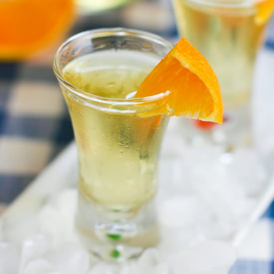 Homemade Orangecello! - Recipe photo by laughingspatula.com