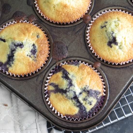 Lemon Blueberry Corn Muffins - Recipe photo by garlic and zest