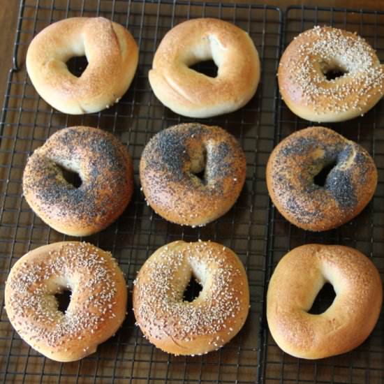NY Style Wild Sourdough Bagels - Recipe photo by eatalready
