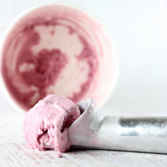 Backyard Blackberry Ice Cream - Recipe photo by SolidGoldEats