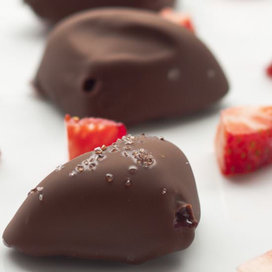 Chocolate Covered Ice Cream Bites - Recipe photo by LowCarbHighFatRecipes.com