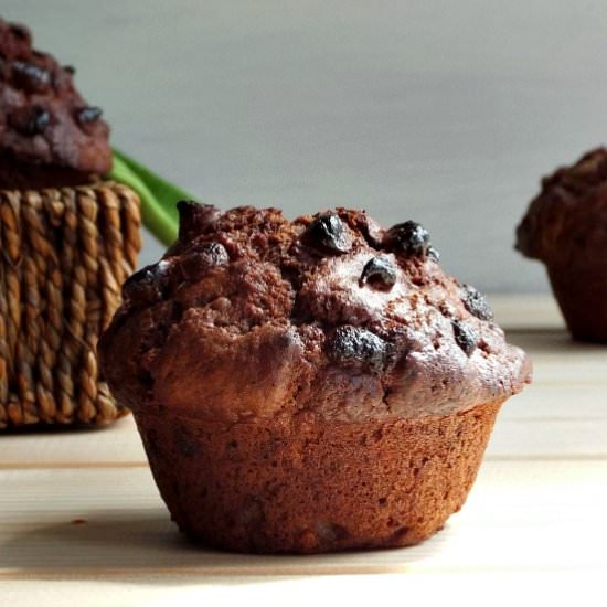 Double Chocolate Chip Muffins - Recipe photo by Fish Fingers for tea