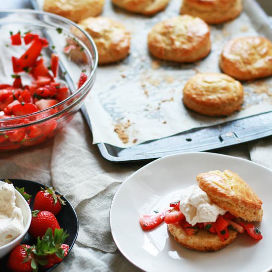 Strawberry Basil Shortcakes - Recipe photo by CAVA