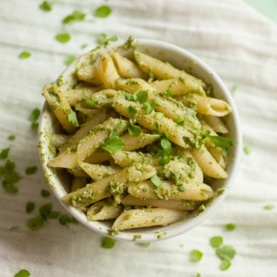 CHICKWEED PESTO - Recipe photo by ProduceonParade