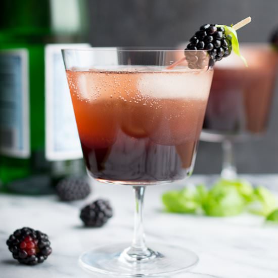 Blackberry Basil Shrub - Recipe photo by taste love &amp; nourish