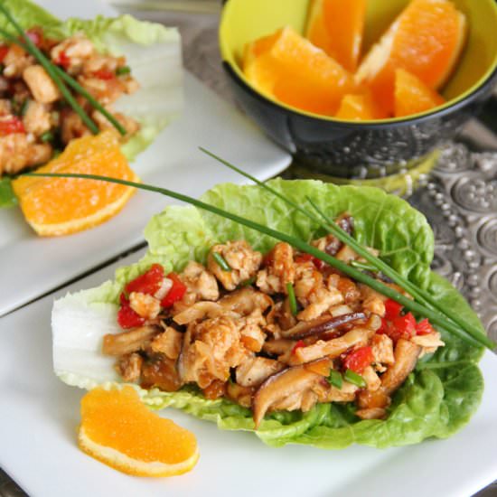 Chicken Lettuce Wraps - Recipe photo by theseasonedtraveler