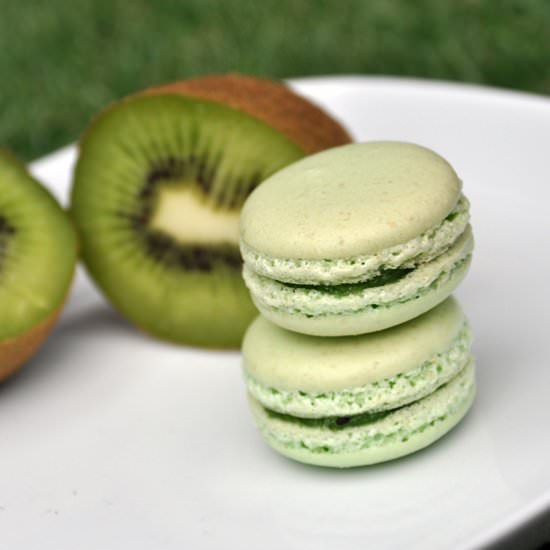Kiwi Macarons - Recipe photo by 1001makron.com