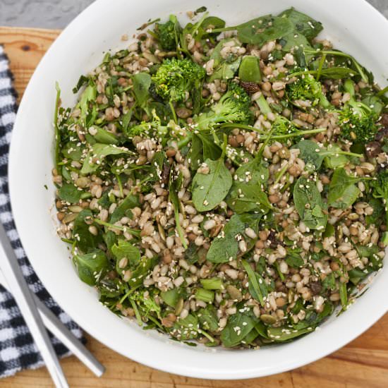 Barley and Brown Lentil Salad - Recipe photo by mfoxworthy