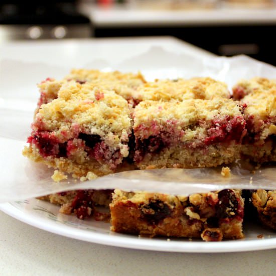 Cranberry Crumb Bars - Recipe photo by chompingboard