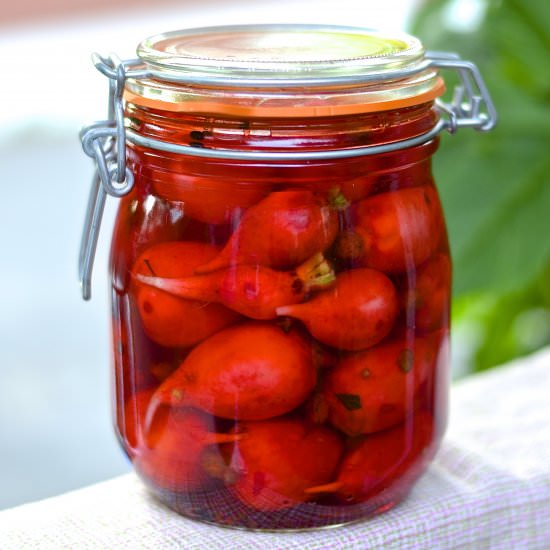 Pickled Radishes - Recipe photo by Catherine Cuisine
