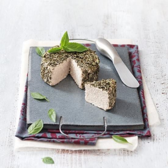 Raw Macadamia Cheese - Recipe photo by MySweetFaery