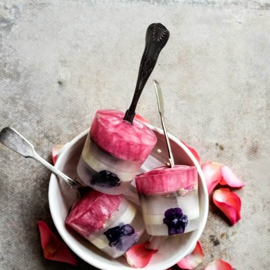 Raspberry Coconut Lollies - Recipe photo by homework