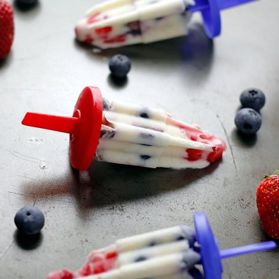 Frozen Yogurt Pops - Recipe photo by sew lets cook