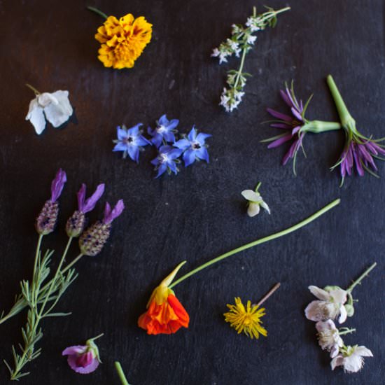 Edible Flowers - Recipe photo by crackersonthecouch